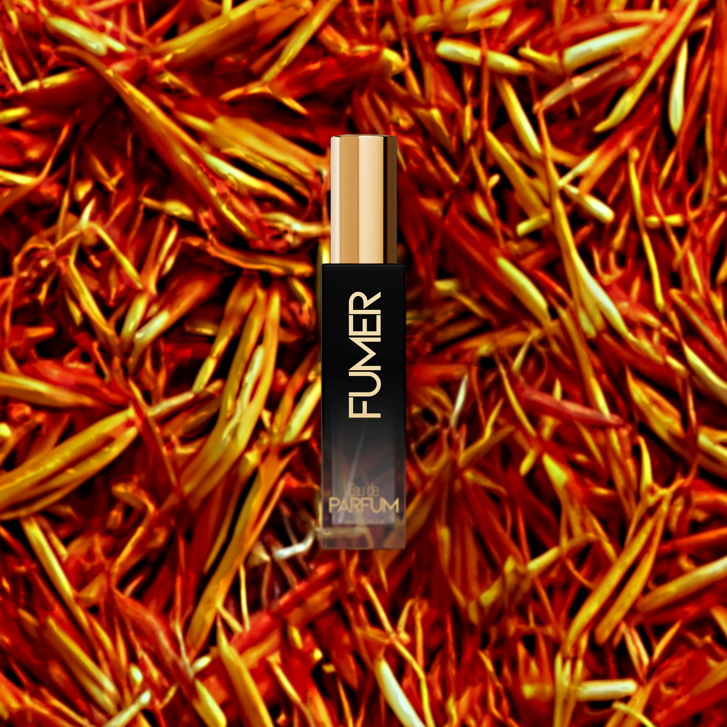 🎁 THE MEDE - (UNISEX) - FREE GIFT - WORTH Rs.1250